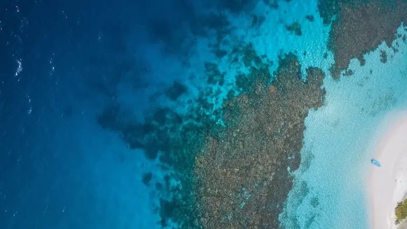 a-shuau-obofili-teneka org