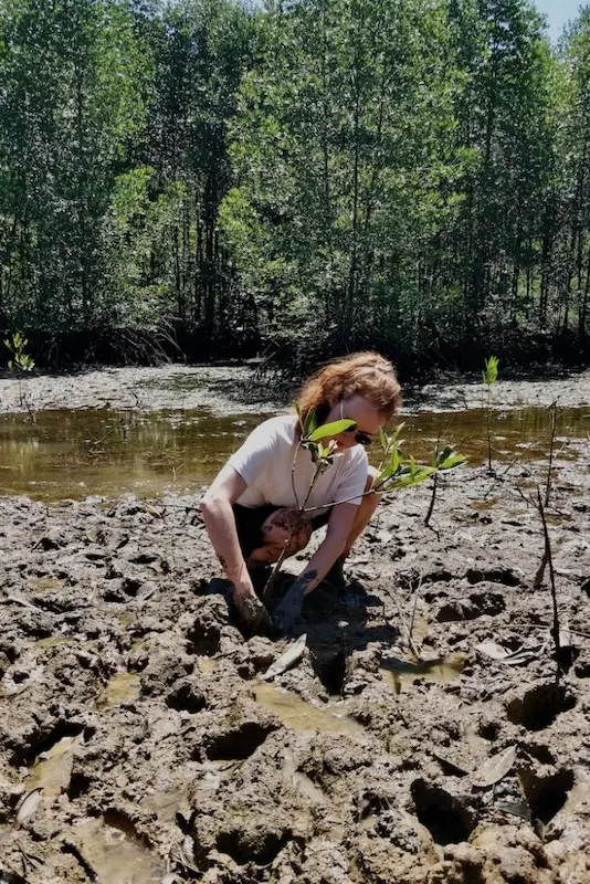 dodo tenaka blue forest