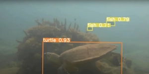 lets-revive-pr interviews tenaka org