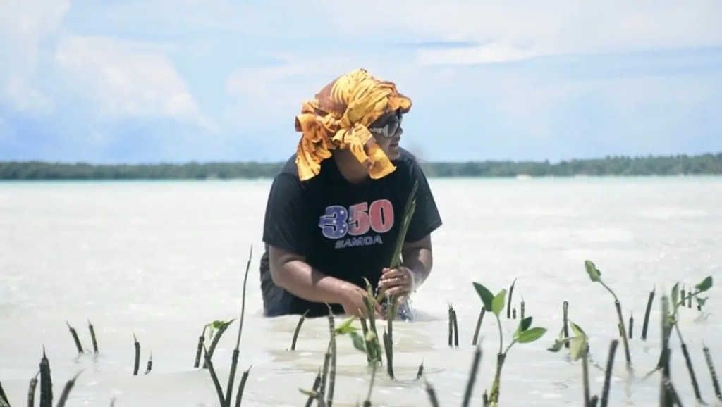 mangrove-plantation tenaka org dodo program