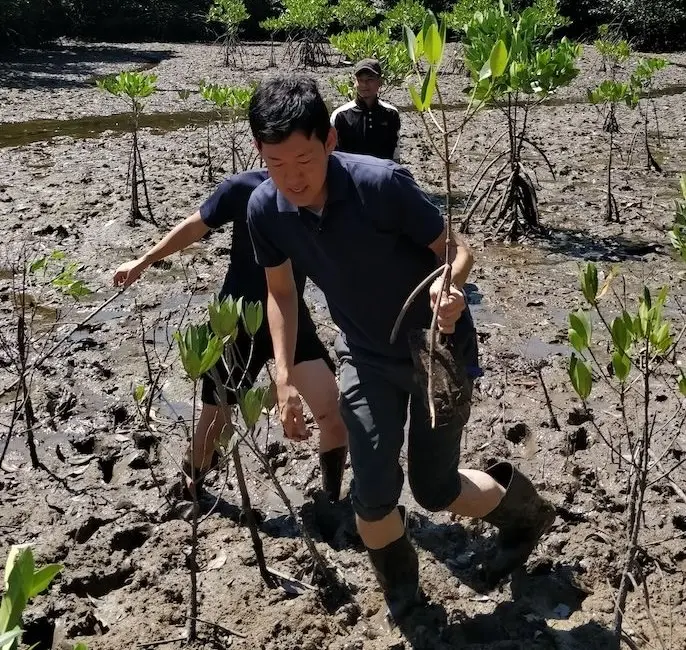 mangrove program plantation team