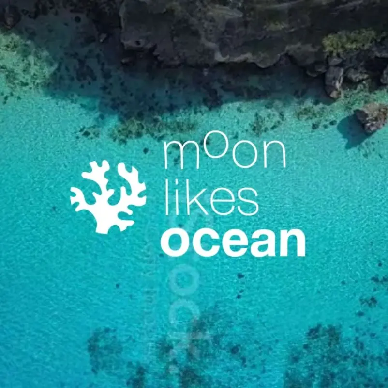 moonlikesocean tenaka org
