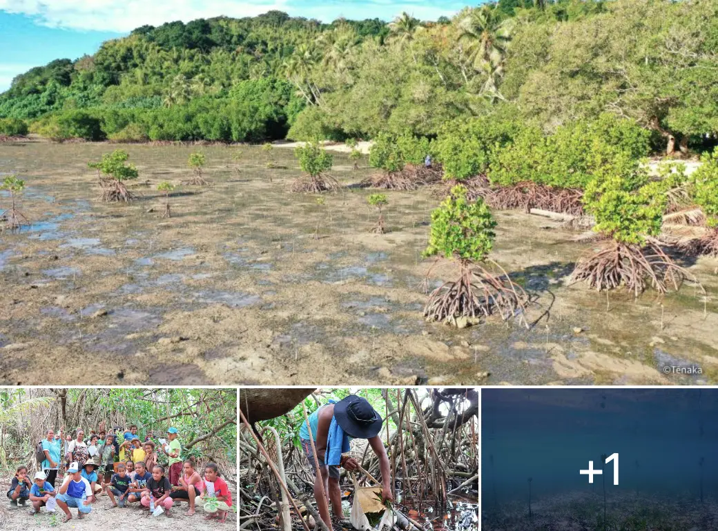 pateluviers-pr interviews tenaka org