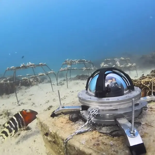 station Tēnaka Station16-1546