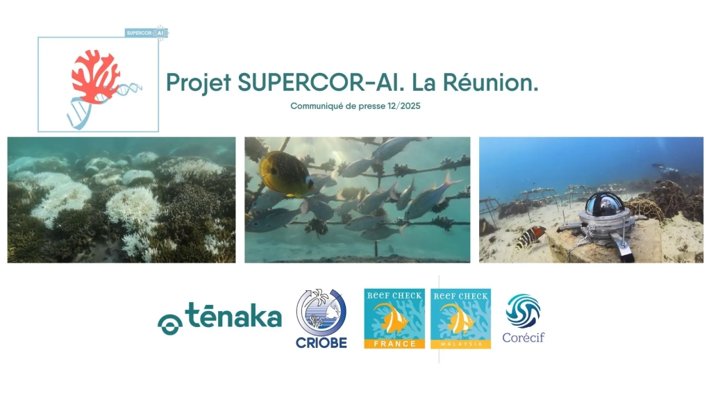 supercor-ai-reunion-tenaka org