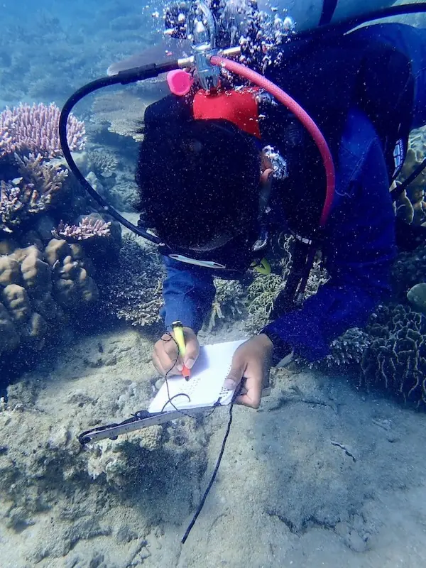 tenaka org coral check Moonlikes Ocean