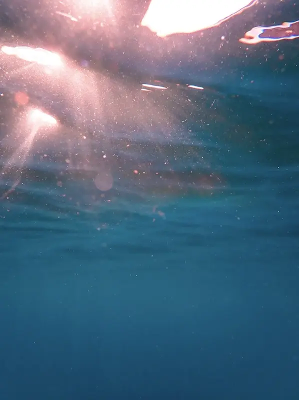 Tēnaka org social business