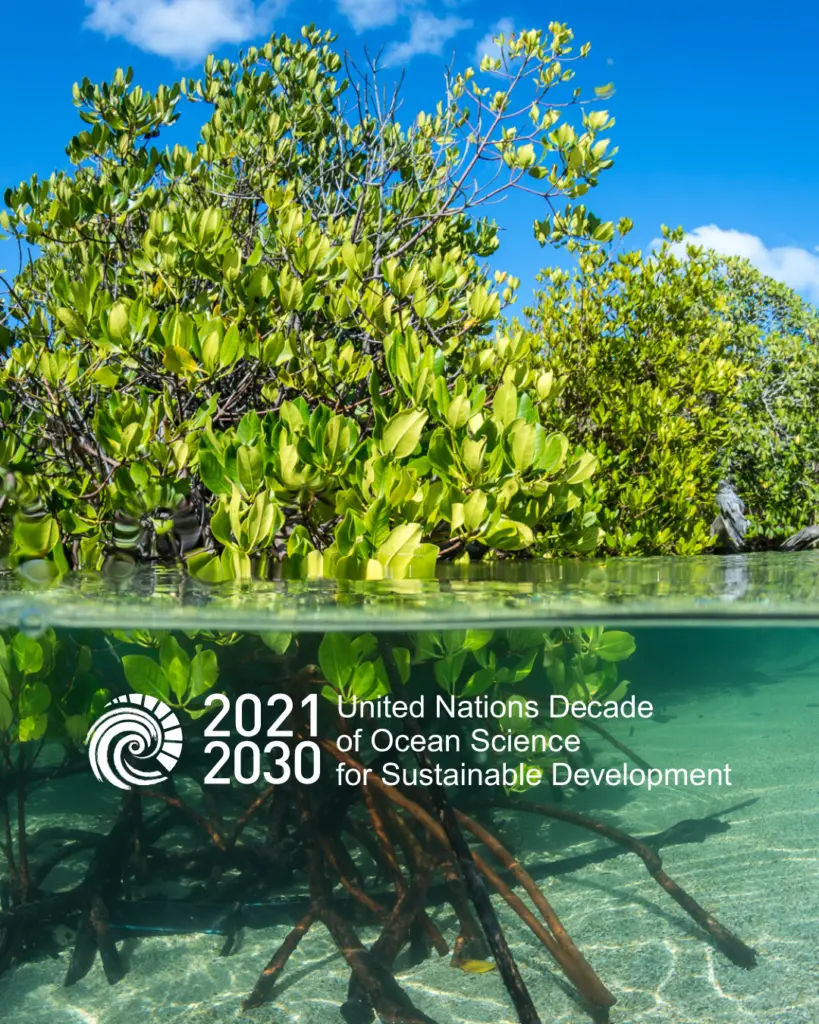 un-ocean-decade-label-tenaka org