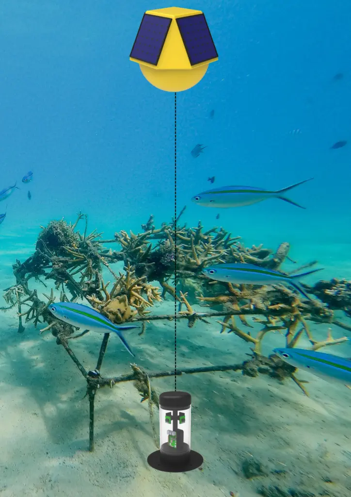 Underwater research station tenaka org coral program