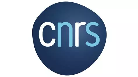Logo CNRS