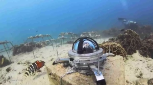 Tēnaka underwater Station - Nursery