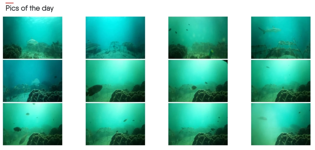 Tenaka Science best pictures